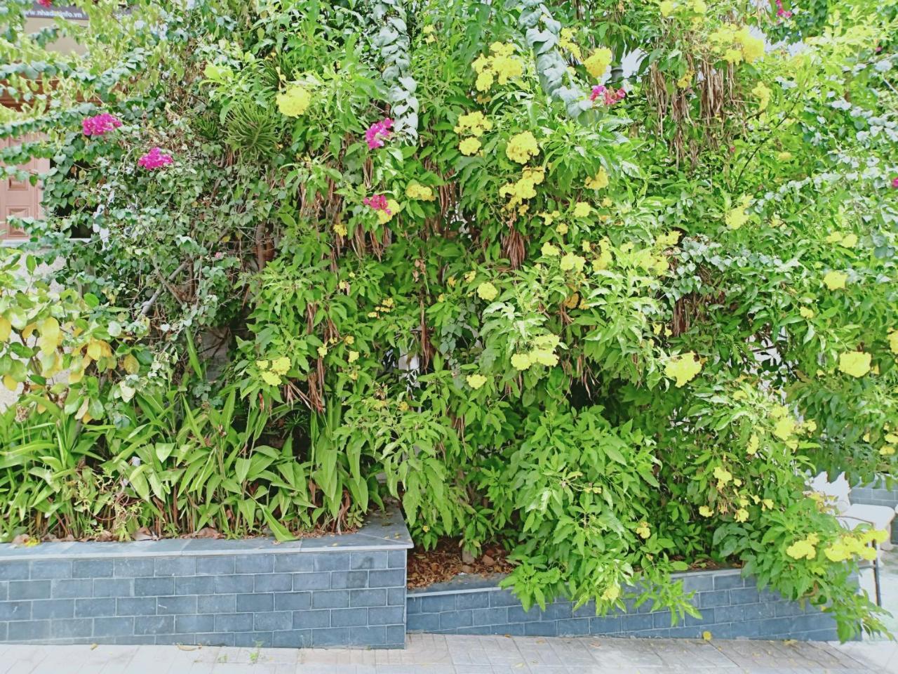 Nha Trang Star Villa Hotel חדר תמונה